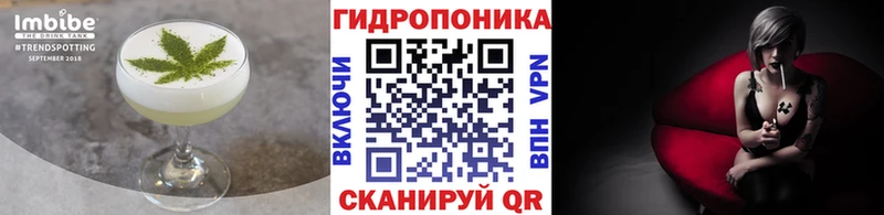 как найти закладки  Сосновый Бор  Canna-Cookies конопля 