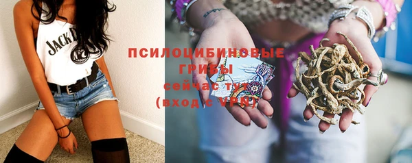 ALPHA-PVP Остров